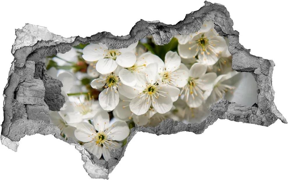 Fototapet 3D gaură în perete Flori de cireș