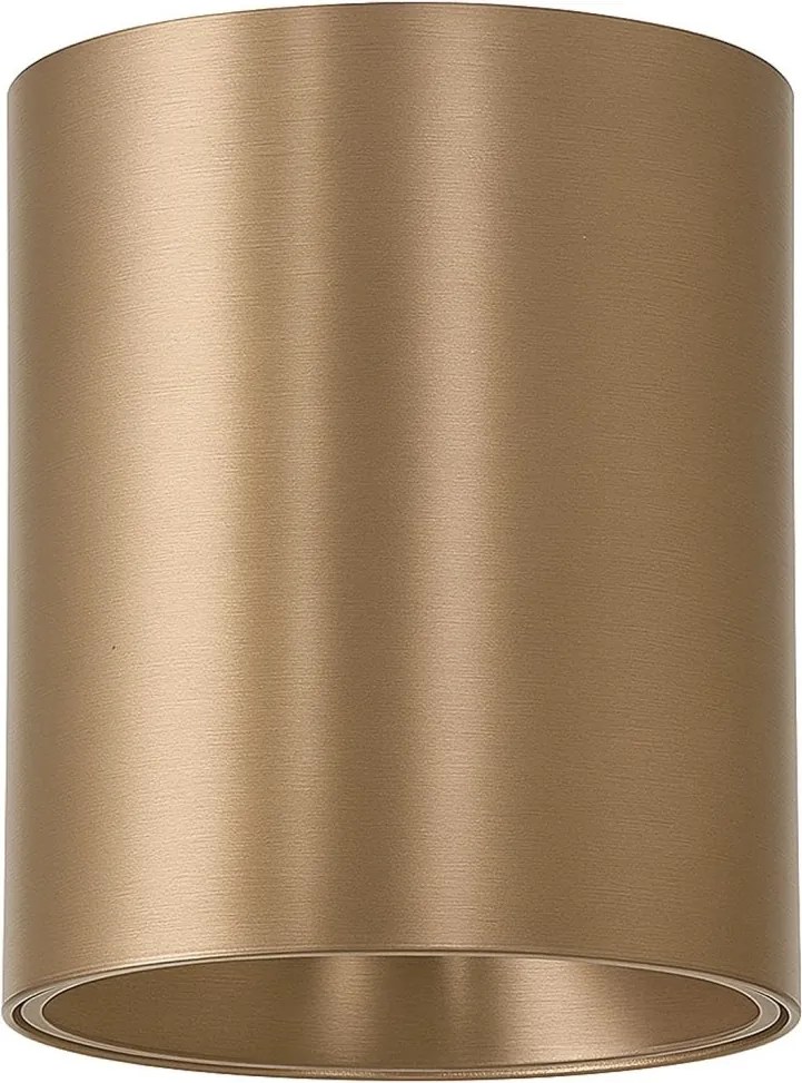Spot aplicat bronz LED BABIL 10W CCT