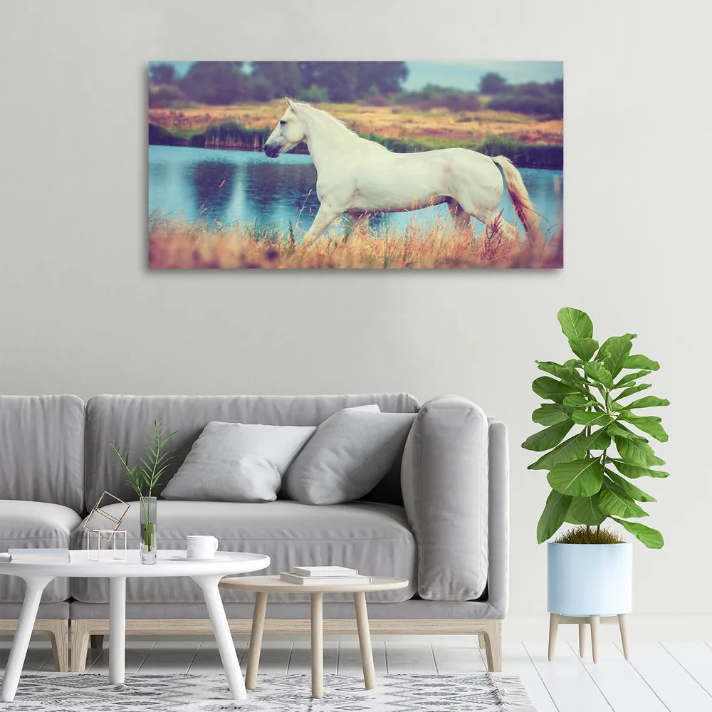 Tablou canvas White lake horse