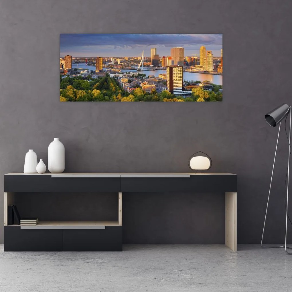 Tablou - Panorama Rotterdamului, Țările de Jos (120x50 cm)