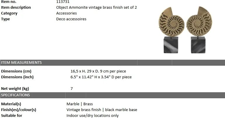 Set 2 obiecte decorative design deosebit LUX Ammonite 113731 HZ