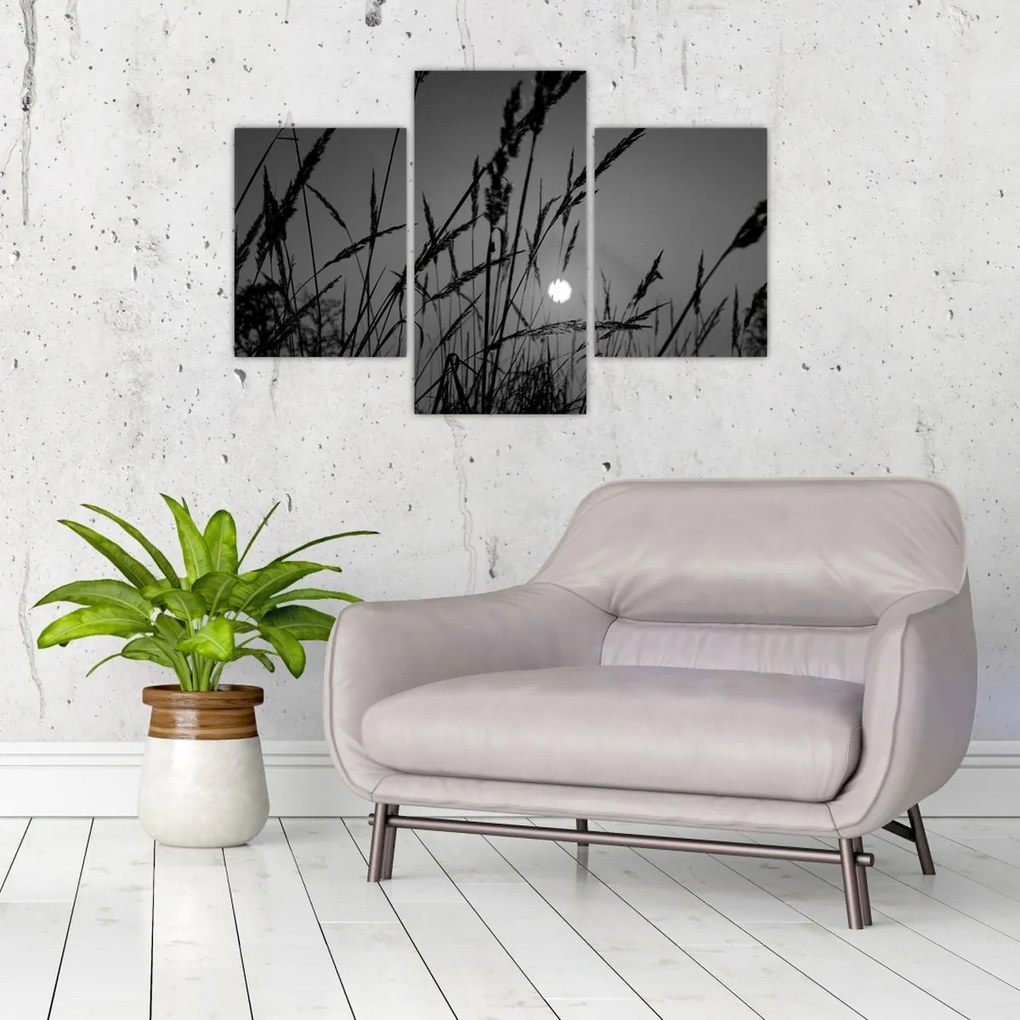 Tablou - Pajiște cu apus de soare (90x60 cm)