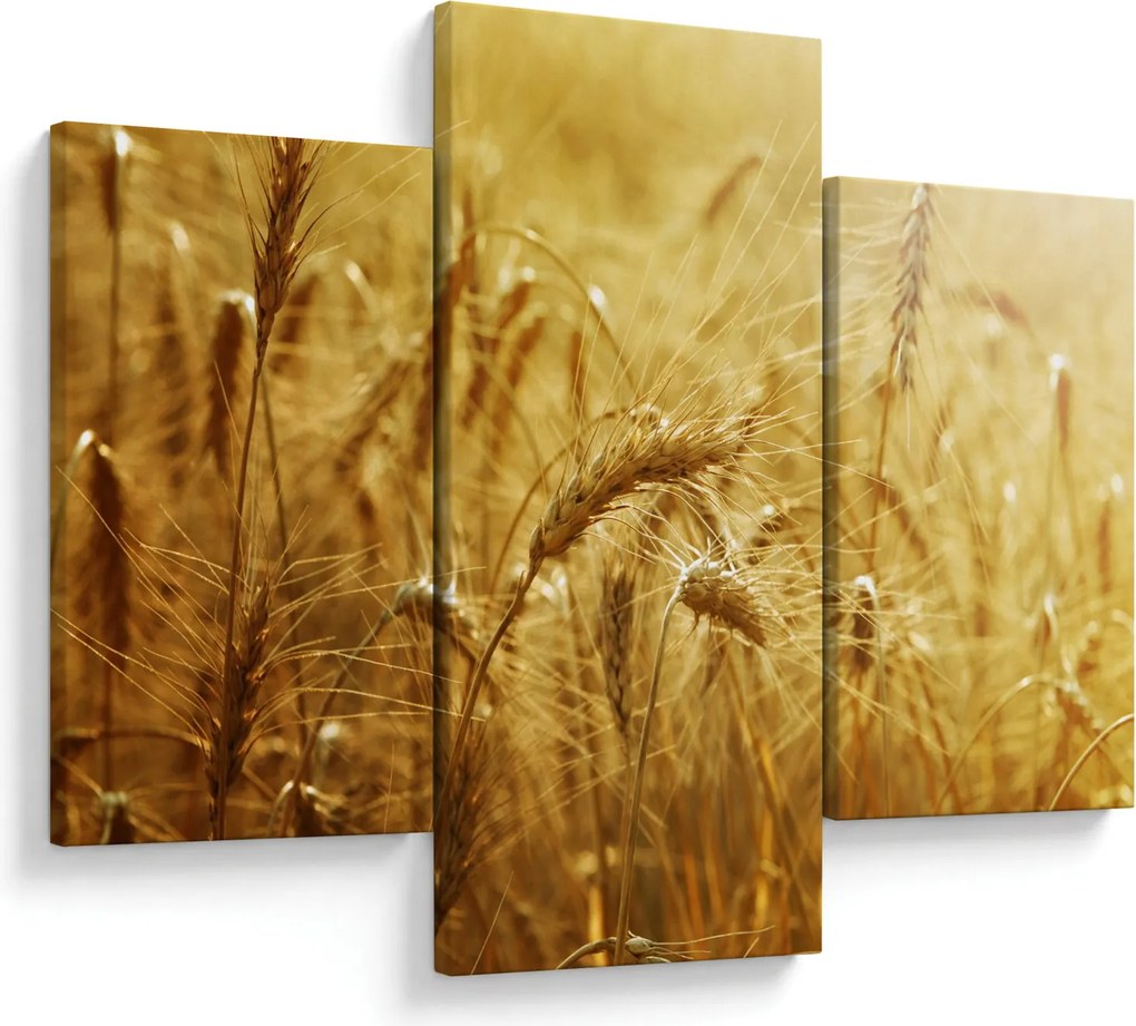 Tablou - Spice de cereale (90x60 cm)