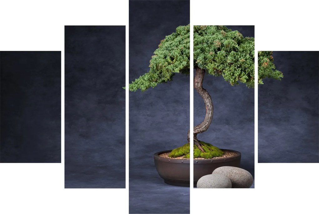 Tablou - Bonsai (150x105 cm)