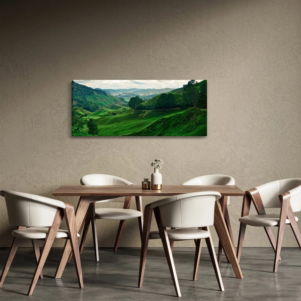 Tablou Plantații de ceai - Malaezia (120x50 cm)