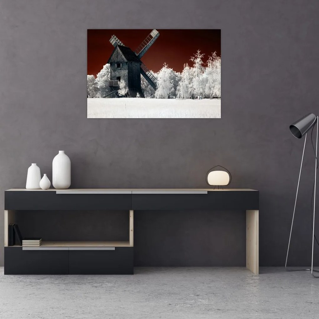 Tablou cu moară (90x60 cm)