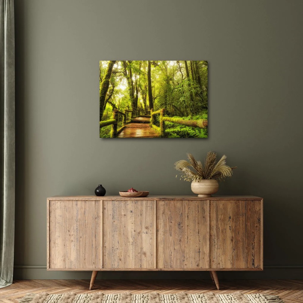 Tablou junglei cu mușchi (70x50 cm)