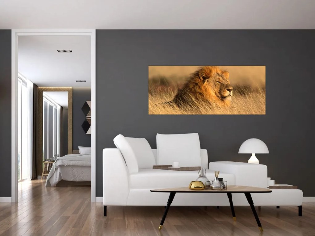 Tablou - Parcul Național Etosha (120x50 cm)
