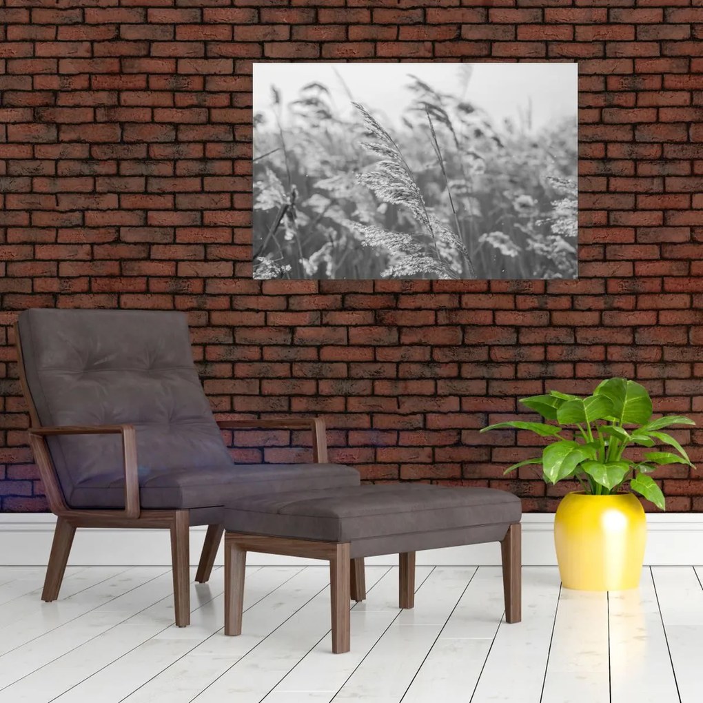 Tablou - Iarba în vânt (90x60 cm)