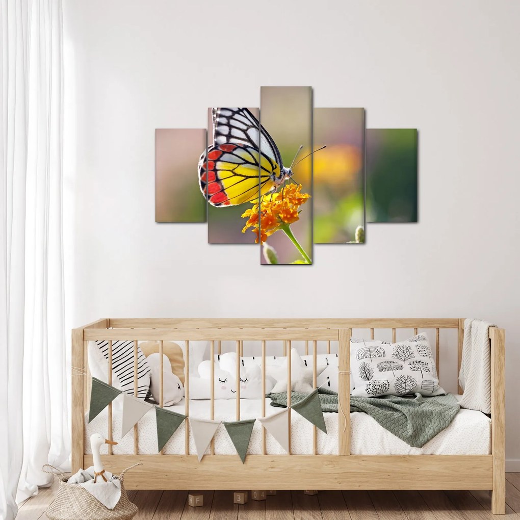 Tablou - Fluture pe floare (150x105 cm)