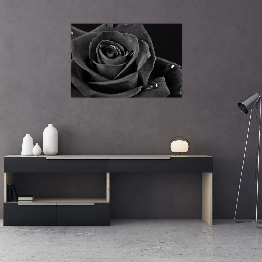 Tablou - Trandafir roșu aprins (90x60 cm)