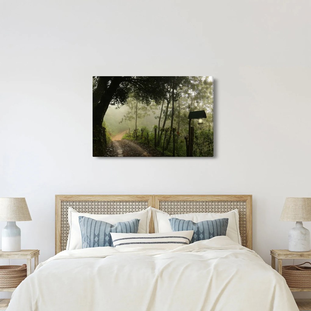 Tablou cu ceața de dimineața (90x60 cm)