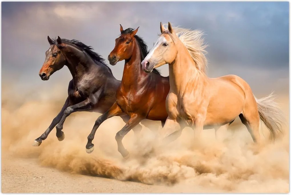 Tablou - Cai sălbatici (90x60 cm)