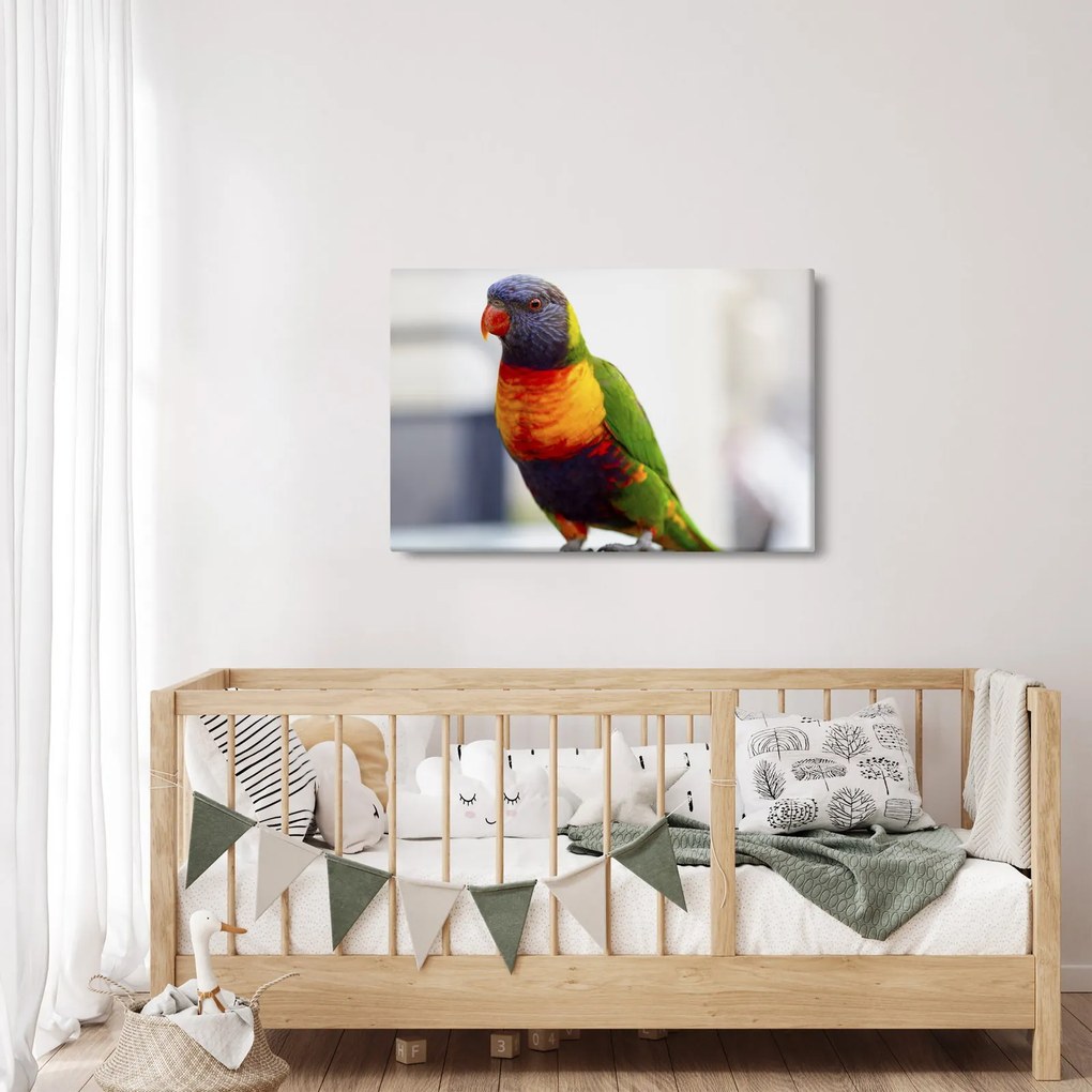 Tablou cu papagal (90x60 cm)