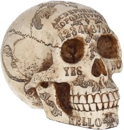 Statueta craniu Spirite 20 cm