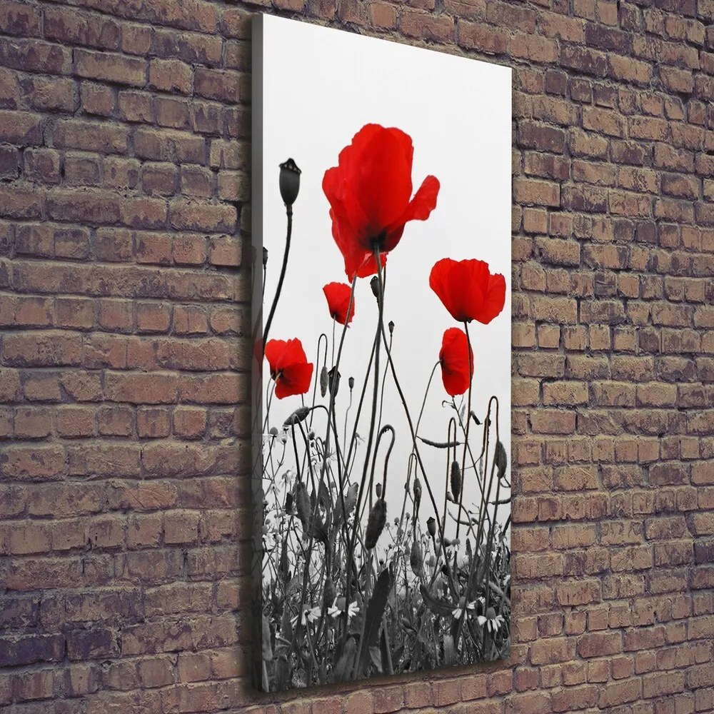 Print pe canvas Wildflowers maci