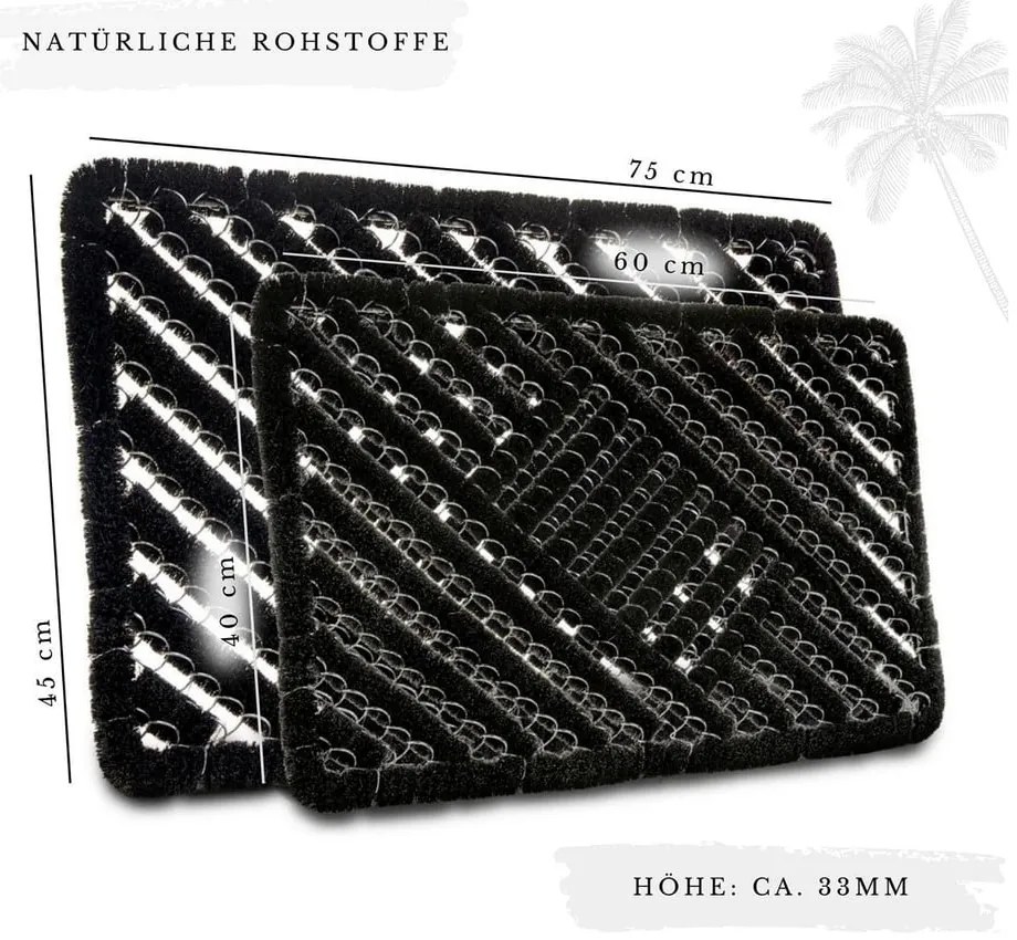 Covoraș de intrare din fibre de nucă de cocos 45x75 cm Coco Black – Hanse Home