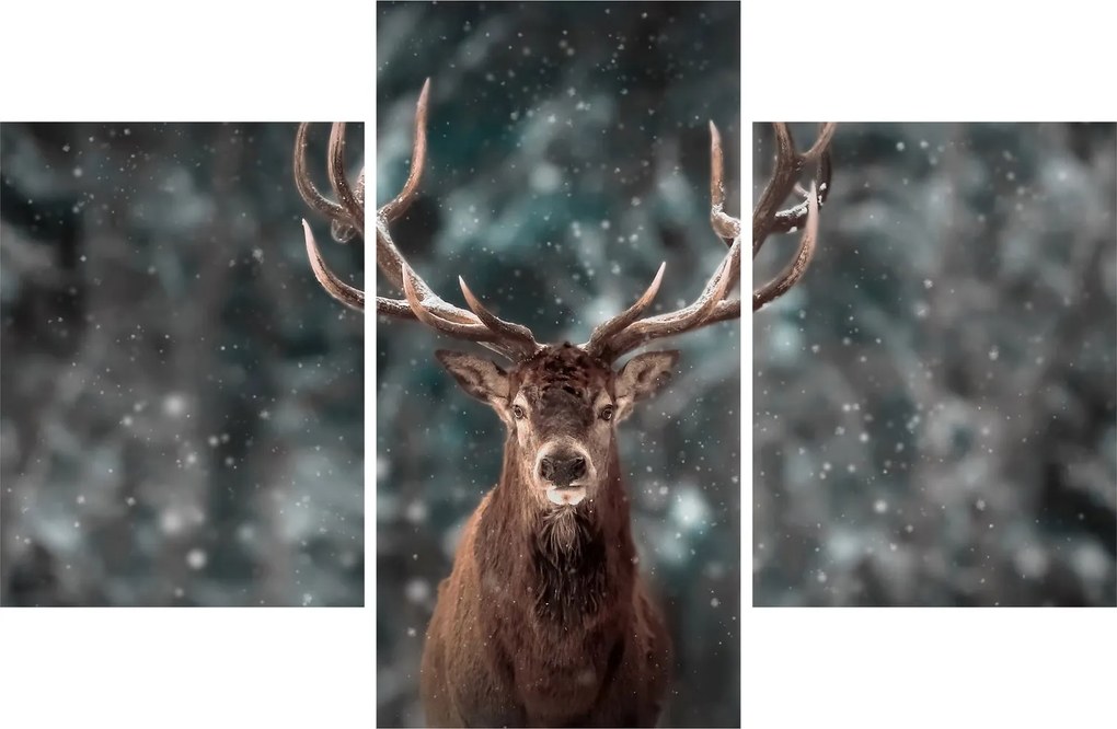 Tablou - Cerbul majestic (90x60 cm)