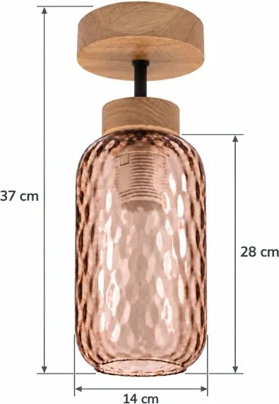 BRILAGI - LED Lustră aplicată R GLASS 1xE27/60W/230V Ø 14 cm stejar/maro fumuriu