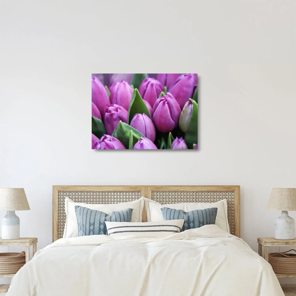 Tablou pe sticlă - florile lalelelor (70x50 cm)