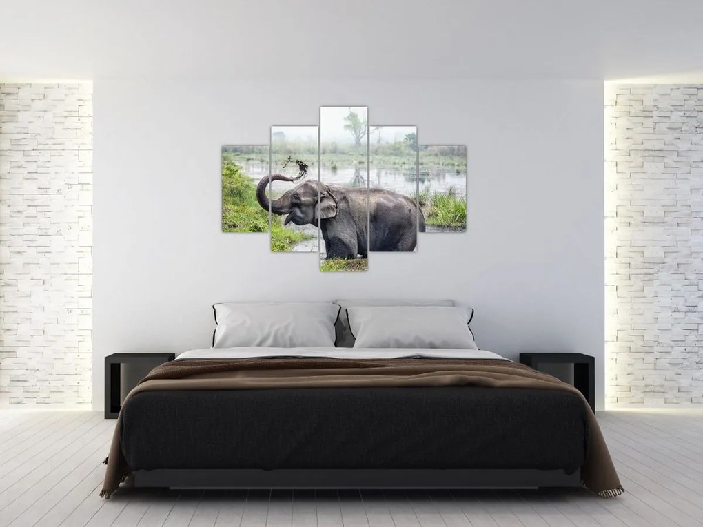 Tablou - Elefant de scăldat (150x105 cm)