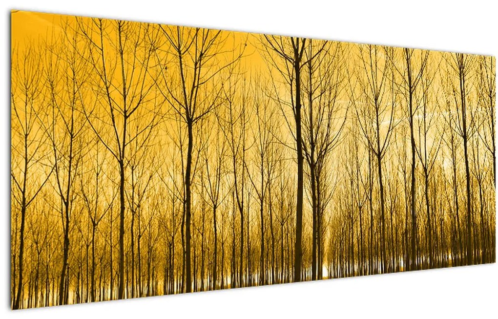 Tablou cu pădure în apus de soare (120x50 cm)