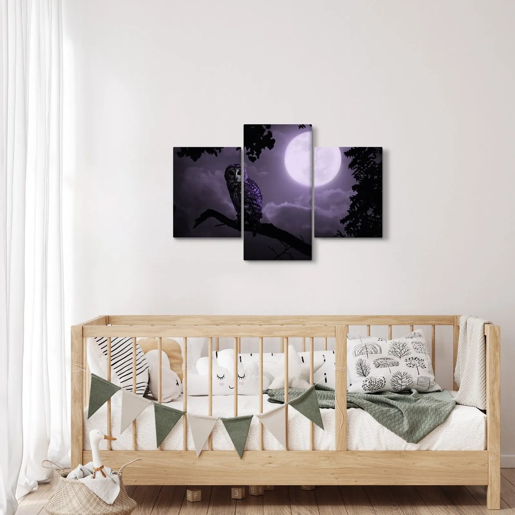 Tablou - Bufniță de noapte, violet (90x60 cm)