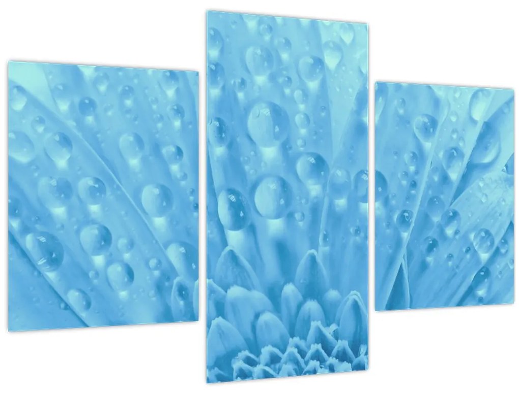 Tablou - Macro împușcat de o floare (90x60 cm)