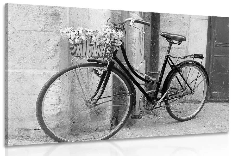 Tablou bicicletă rustică în design alb-negru