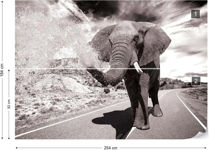 GLIX Fototapet - Elephant Highway Black And White Vliesová tapeta  - 254x184 cm