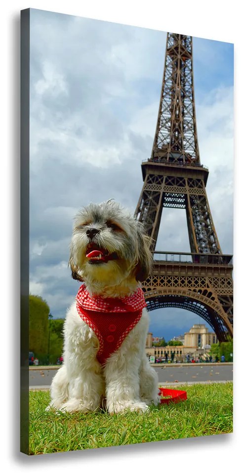 Print pe pânză Câine din Paris