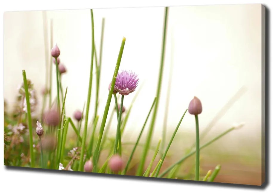 Tablou canvas Arpagic