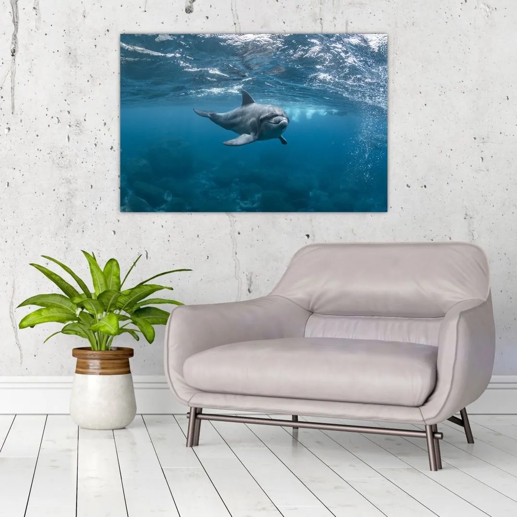 Tablou - Delfin sub apă (90x60 cm)