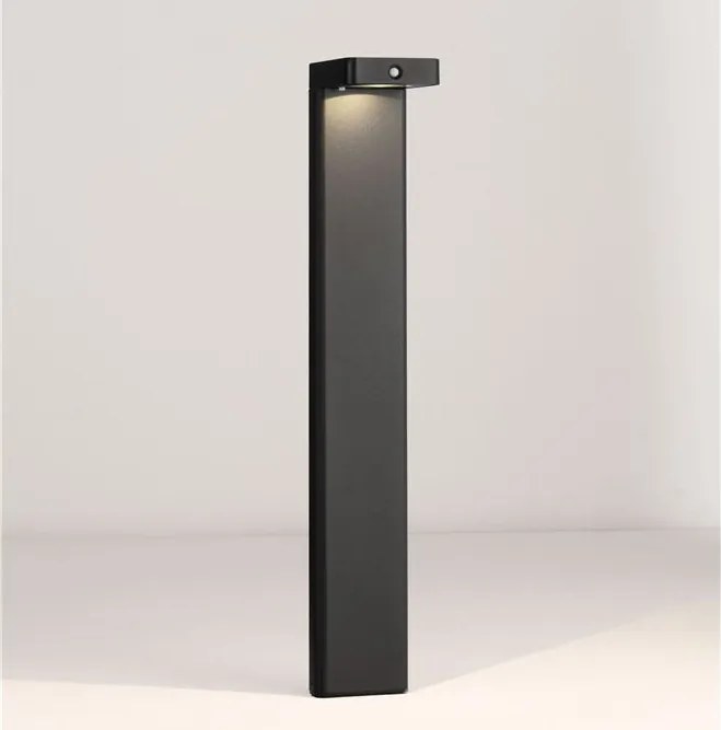 Stalp, Lampa solara cu senzor de miscare IP65 BERET 60cm