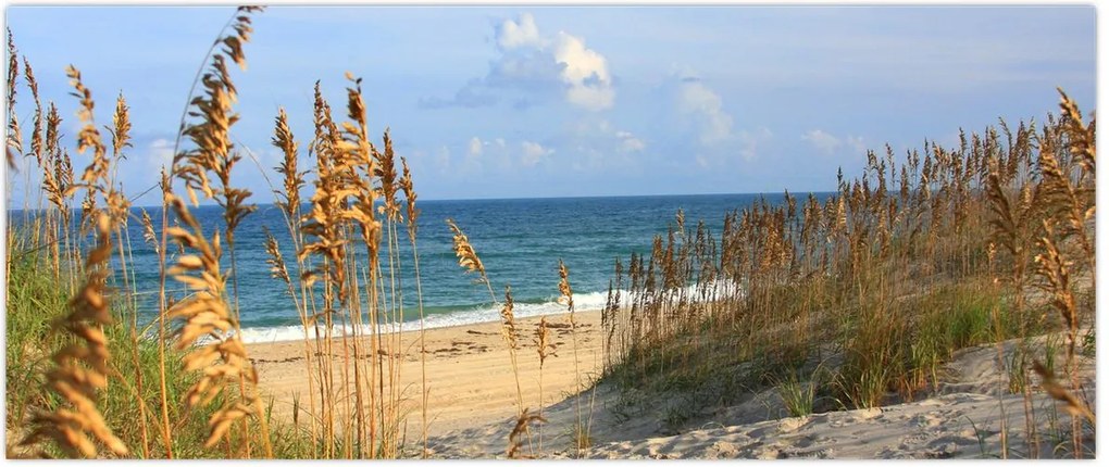 Tablou - Plajă (120x50 cm)
