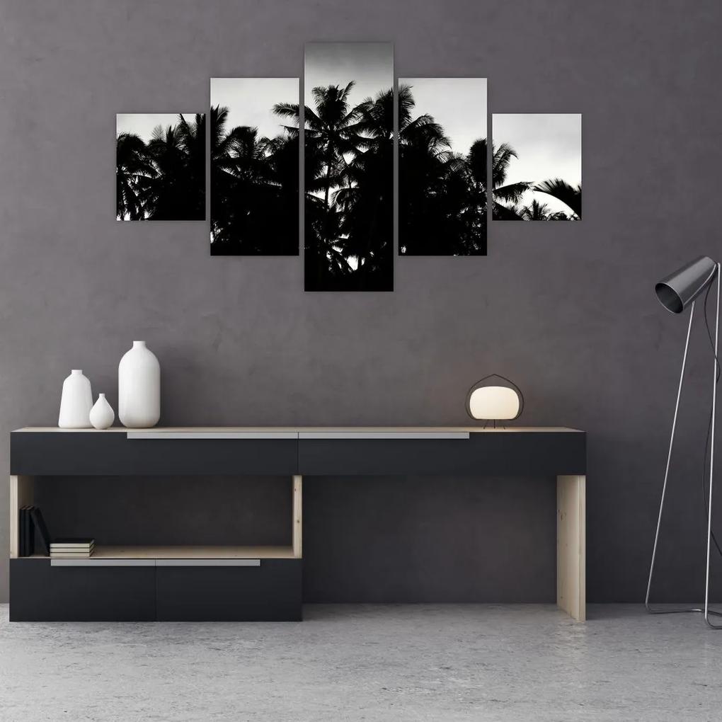 Tablou alb negru - palmieri (125x70 cm), în 40 de alte dimensiuni noi