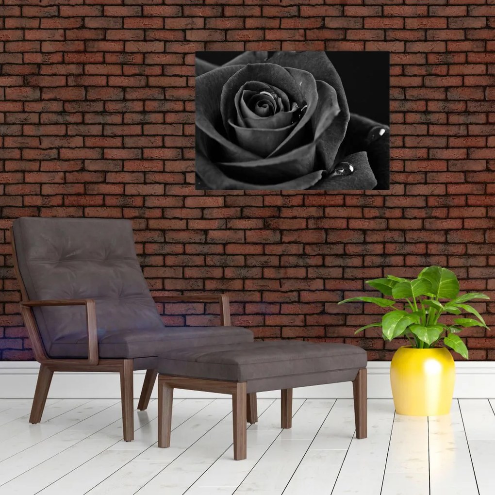 Tablou pe sticlă - Trandafir roșu aprins (70x50 cm)