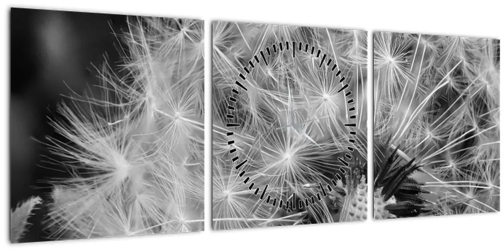 Tablou - mulțime de păpădii (cu ceas) (90x30 cm)