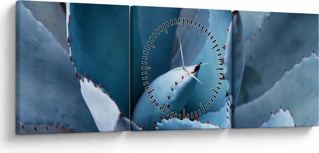 Tablou - Agave (cu ceas) (90x30 cm)