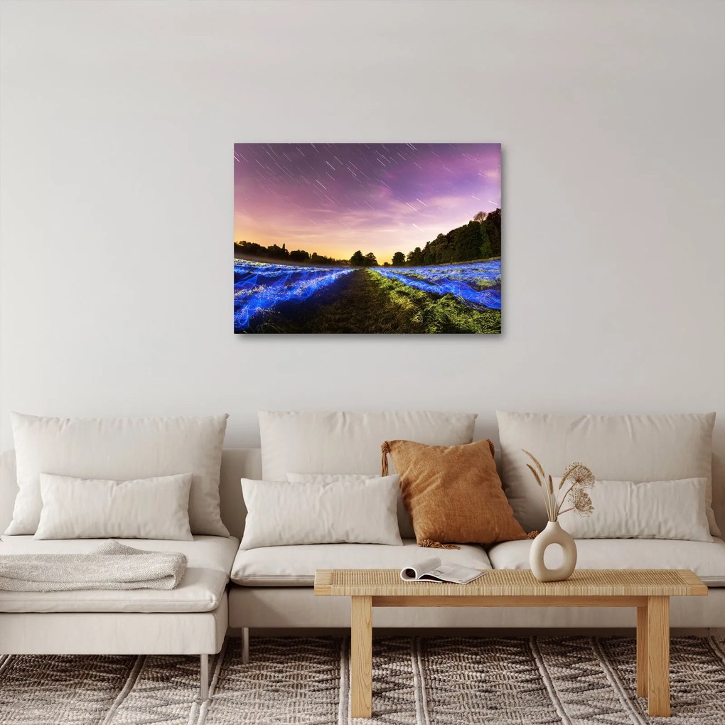Tablou cu câmp colorat (70x50 cm)
