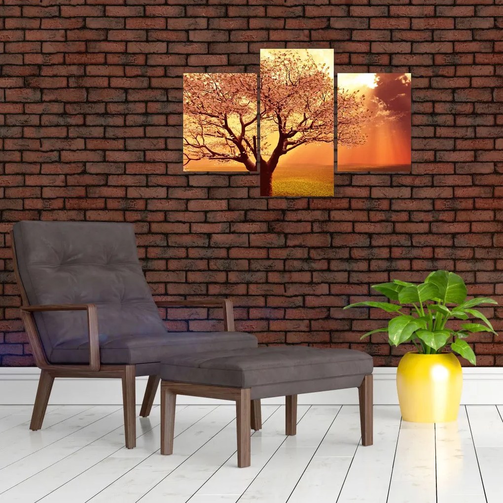 Tablou cu razele lui Dumnezeu (90x60 cm)