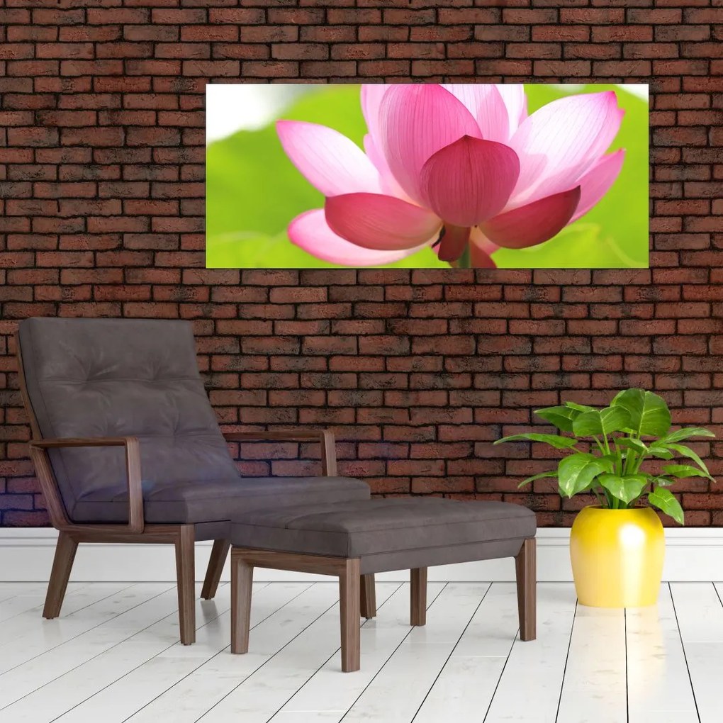 Tablou cu flori de lotus (120x50 cm)