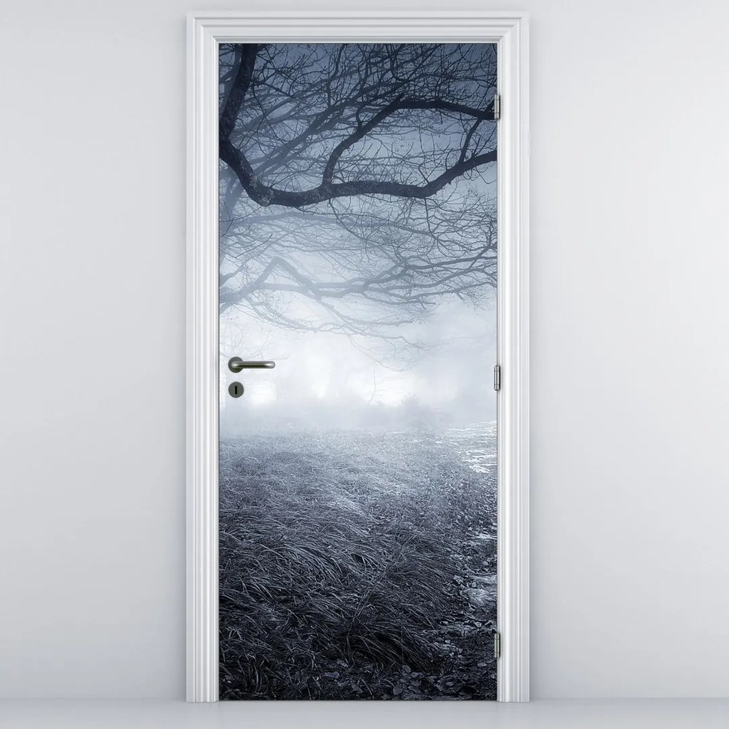 Fototapet pentru ușă - Drum în ceață (95x205cm)
