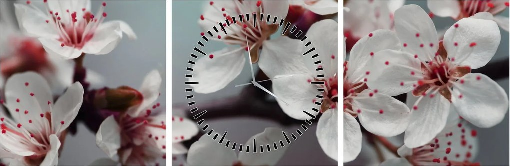 Tablou cu floare - roșie (cu ceas) (90x30 cm)