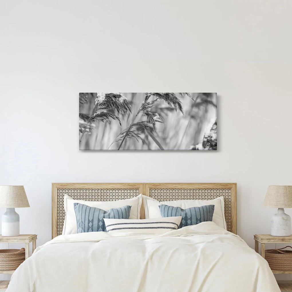 Tablou - Tei,alb-negru (120x50 cm)
