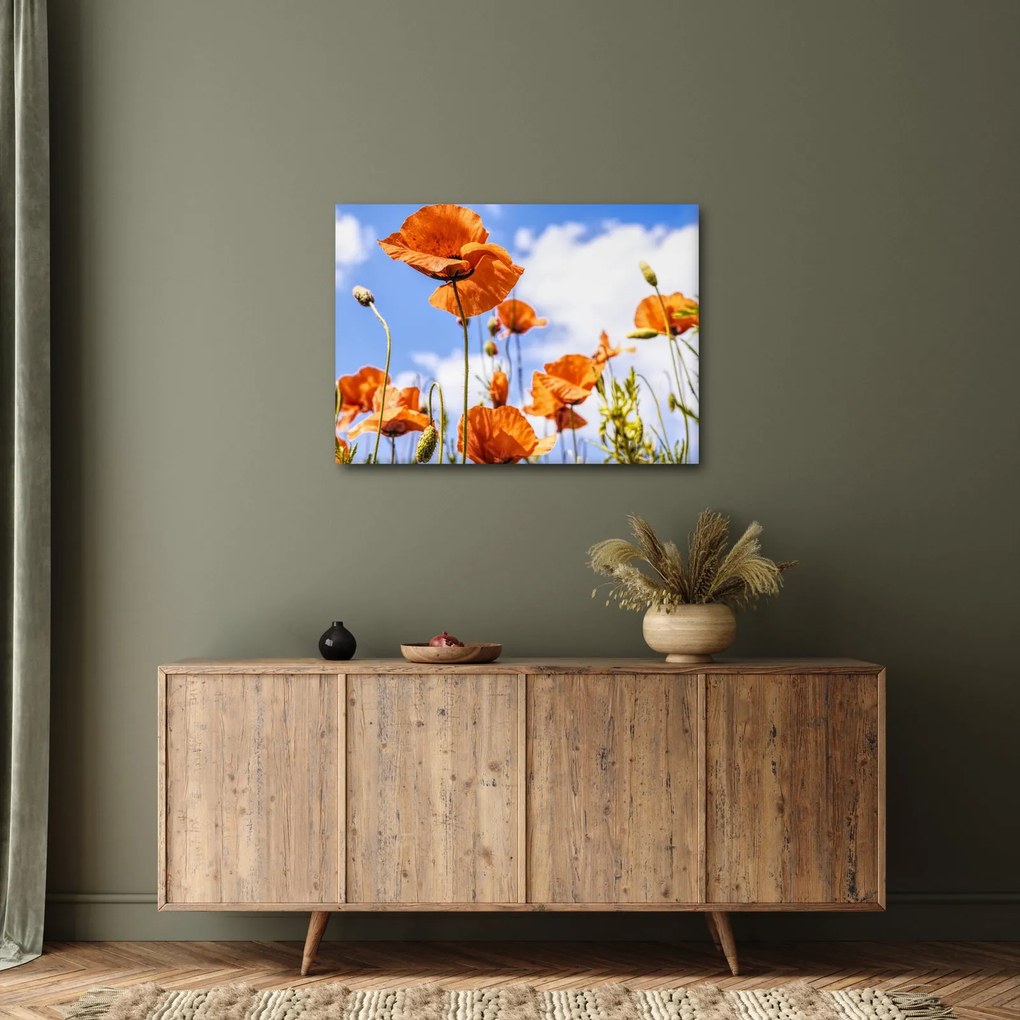 Tablou cu macii (70x50 cm)