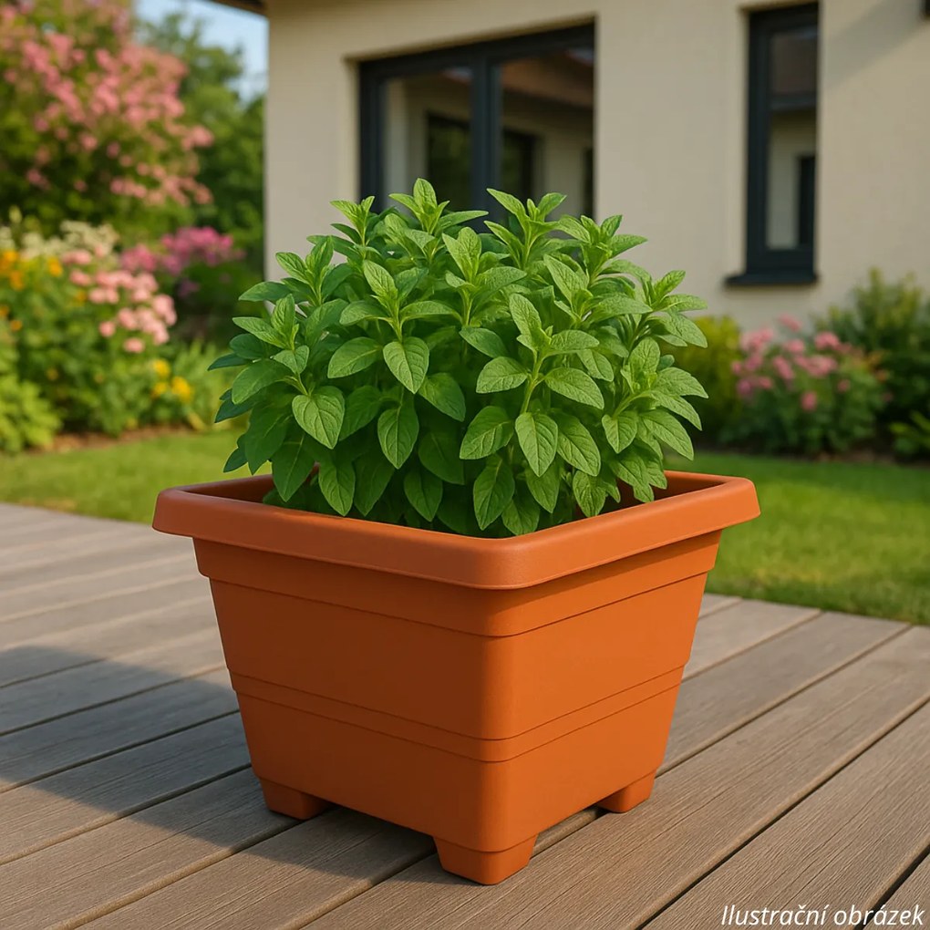 Plastia Ghiveci flori cu auto-udare Bergamot 30 x 30 cm maro deschis, 30 x 30 cm