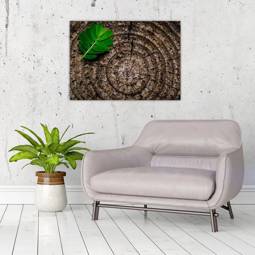 Tablou cu frunză pe trunchi de copac (70x50 cm)