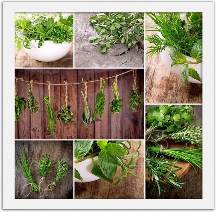 CARO Imagine în cadru - Harvested Herbs 20x20 cm Alb