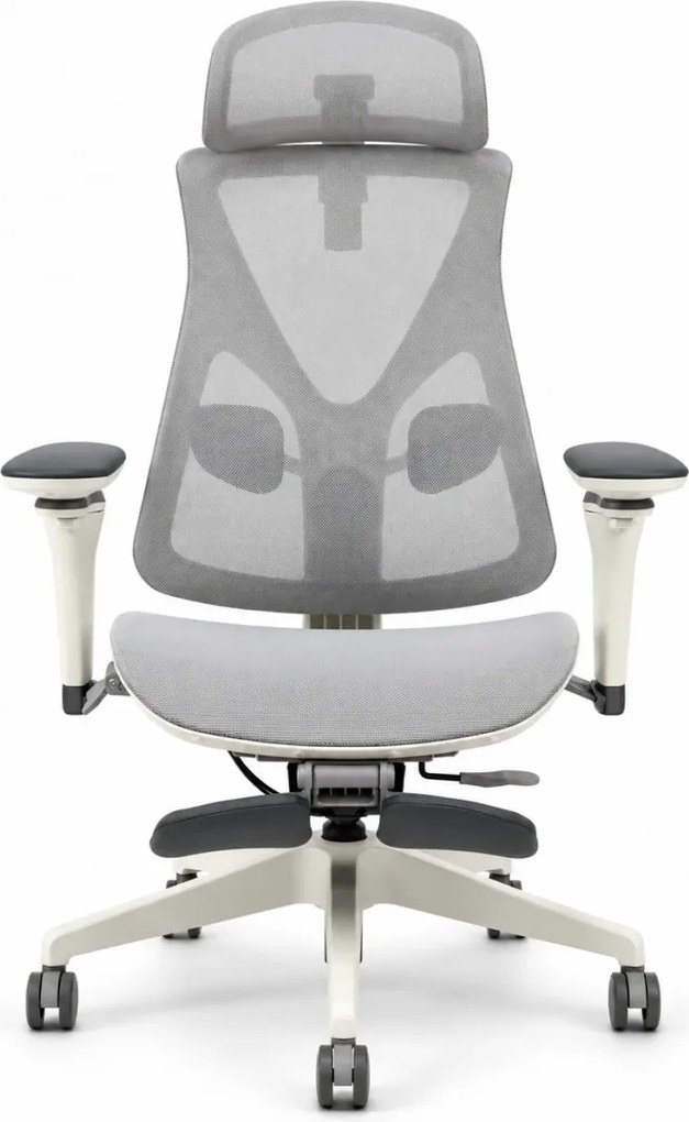 Scaun ergonomic ANEW ARYSE D3, Suport Lombar Trio Dinamic , Cotiere 5D Dual-Axis, Tetieră Reglabilă, Mecanism Sensibil la Greutate cu Seat-Slider, Suport Picioare, Mesh, Gri